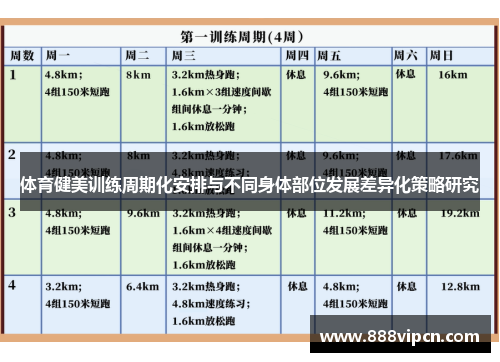 体育健美训练周期化安排与不同身体部位发展差异化策略研究