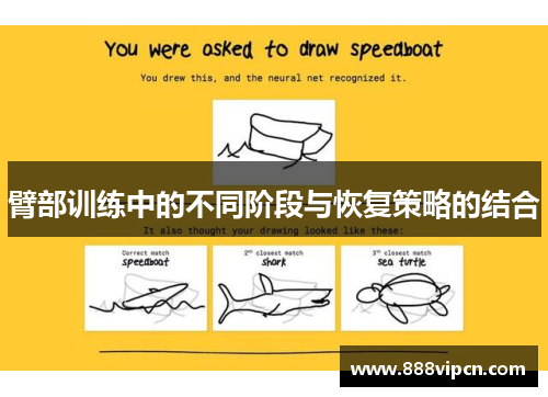 臂部训练中的不同阶段与恢复策略的结合